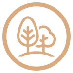 ecosave.png&fileId=387952&x=1920&y=1080&a=true&etag=c637a17bb8bad6ded220c0fbb81a3c22