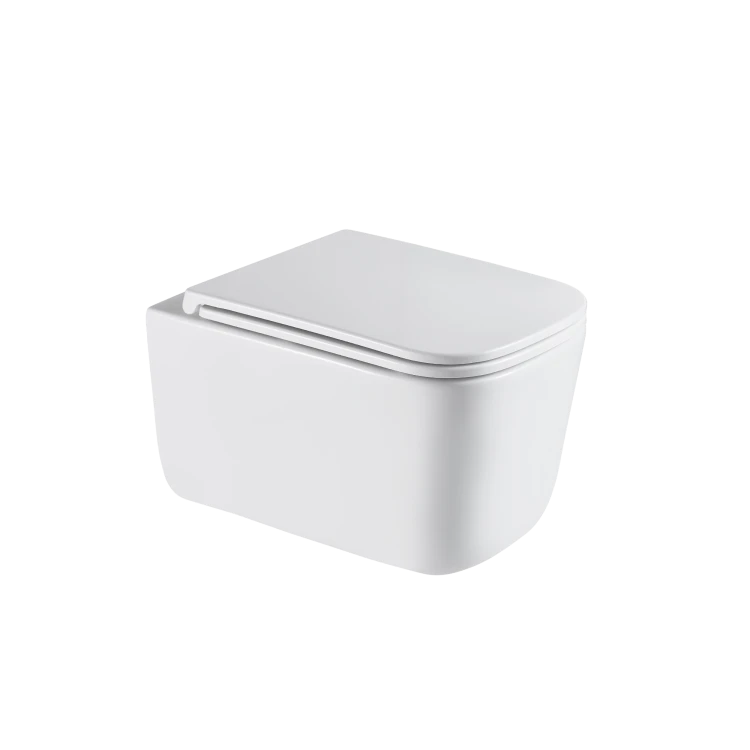 CK-96-042-zestaw-podtynkowy-wc-malaga-z-przyciskiem-604-bialy-3.png&x=1920&y=1080&a=true