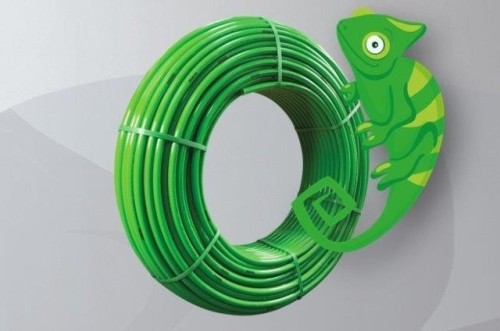 zielona-kameleon-krazek-600mb.jpg