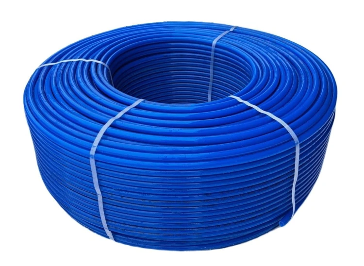 251.jpg