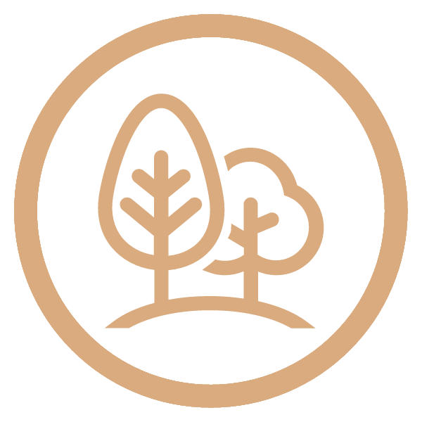 ecosave.png&fileId=387952&x=1920&y=1080&a=true&etag=c637a17bb8bad6ded220c0fbb81a3c22